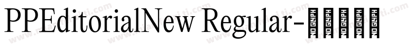 PPEditorialNew Regular字体转换